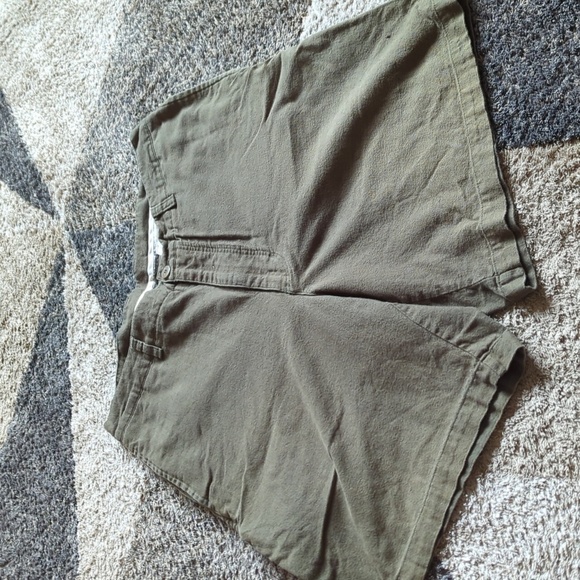 Patagonia Other - Patagonia organic cotton green shorts size 36 Mens back step shorts 100% organic